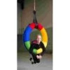 Sport-Thieme Tyre Swing