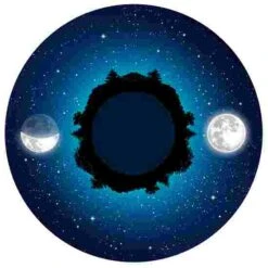 Sport-Thieme Effect Wheel -Psychomotor Sex Shop 176 6149