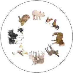 Activation Discs -Psychomotor Sex Shop 192 3038