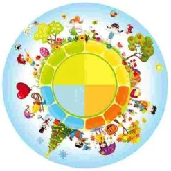 Sport-Thieme Effect Wheel -Psychomotor Sex Shop 196 4468