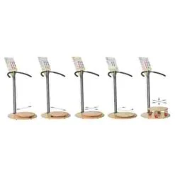 Pedalo "5S" Coordination Obstacle Course -Psychomotor Sex Shop 219 4703