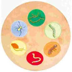 Beleduc "Oscar" The Hedgehog -Psychomotor Sex Shop 275 8709 8