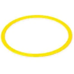 Sport-Thieme Flat Hoop -Psychomotor Sex Shop 280 1113