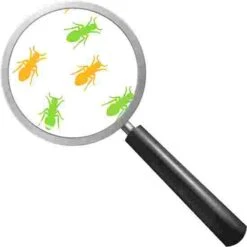 Beleduc "Illusion Wheel" Wall-Mounted Spinner -Psychomotor Sex Shop 280 9609 1